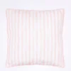 COJIN RAYAS ROSAS 45X45