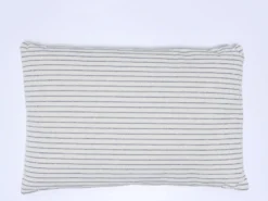 COJIN TAPI AZUL 40X60
