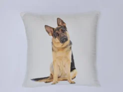 COJIN 45X45 DIGITAL 23-123 COMPLETO