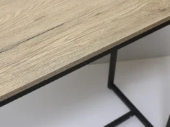CONSOLA NATURAL/NEGRO 120X39X79CM