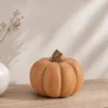 FIGURA CALABAZA 20X15 NARANJA