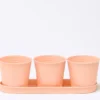 JUEGO 3 CUBO C/BANDEJA NARAJ 33X8X11CM
