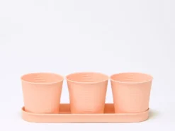 JUEGO 3 CUBO C/BANDEJA NARAJ 33X8X11CM