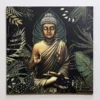 LIENZO BUDA PALMA A 50X50CM