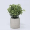MACETA CEMENTO FLORES VERDES D