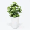 MACETA FLOR BOLITAS CRUDO Ø7X23CM