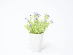 MACETA FLOR LILA Ø7X20CM