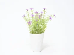 MACETA FLOR ROSA Ø7X20