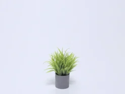 MACETA GRIS CON PLANTA VERDE A 10x10x18CM
