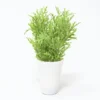 MACETA HOJAS LARGAS B 25CM