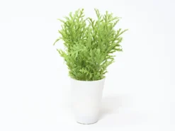 MACETA HOJAS LARGAS B 25CM