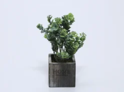 MACETA MADERA CON EUCALIPTO VERDE