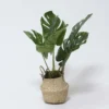 MACETA MIMBRE C/PLANTA C Ø11X45CM