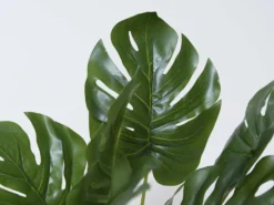 MACETA MIMBRE C/PLANTA C Ø11X45CM