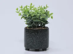 MACETA PLANTA CERAMICA B 11X11X20CM