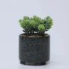 MACETA PLANTA CERAMICA C 11X11X20CM