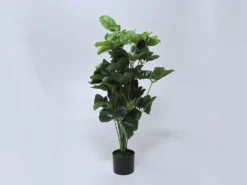 MACETA PLANTA HOJAS OVALADAS 105CM ALTO