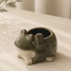 MACETA RANA 15CM VERDE PORCELANA