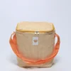NEVERA ISOTERMICA CLARA NARANJA 25X14X31