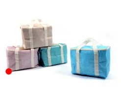 NEVERA LISS ROSA 24X18X20CM