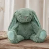 PELUCHE CONEJO 40CM VERDE