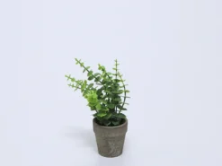 PLANTA EN MACETA CERAMICA VERDE C