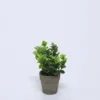 PLANTA EN MACETA CERAMICA VERDE B