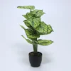 PLANTA EN MACETA 66CM A