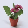 PLANTA FLOR GERBERA FUCSIA 12X18