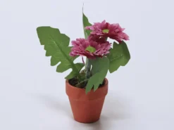 PLANTA FLOR GERBERA FUCSIA 12X18