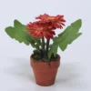PLANTA FLOR GERBERA ROJA 12X18