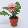 PLANTA FLOR GERBERA ROSA 12X18