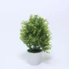 PLANTA HOJAS VERDE MACETA BLANCA