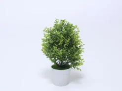 PLANTA HOJAS VERDE MACETA BLANCA