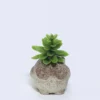 PLANTA MACETA CEMENTO BUHO 9X7X7