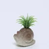 PLANTA MACETA CEMENTO CARACOL 9X7X7