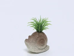 PLANTA MACETA CEMENTO CARACOL 9X7X7