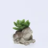 PLANTA MACETA CEMENTO RANA 9X7X7