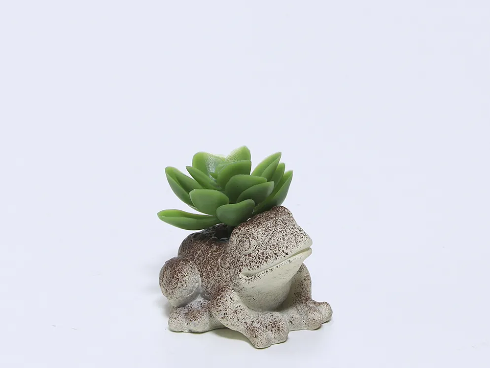 PLANTA MACETA CEMENTO RANA 9X7X7
