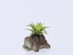 PLANTA MACETA CEMENTO TORTUGA 9X7X7