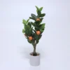 PLANTA NARANJO 58CM