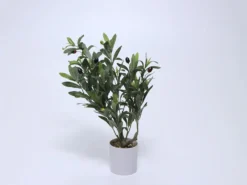PLANTA OLIVO 58CM