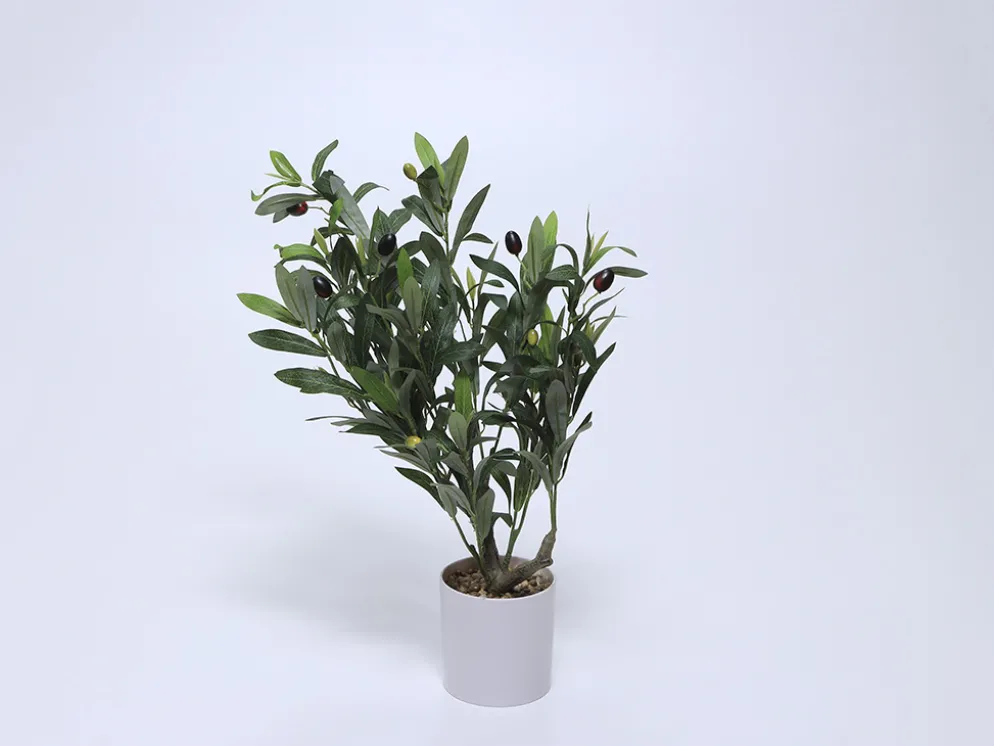 PLANTA OLIVO 58CM