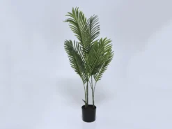 PLANTA PALMA ARECA 90CM