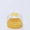 RECIPIENTE HERMETICO LIMON