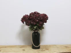 VARA HORTENSIA BURDEOS X2