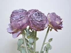VARA PEONIA DRY LILA 58CM