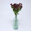 VARA RANUNCULUS BURDEOS 68CM