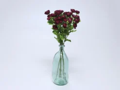 VARA RANUNCULUS BURDEOS 68CM